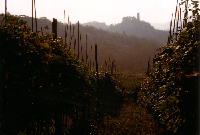 Comune di Corneliano d'Alba