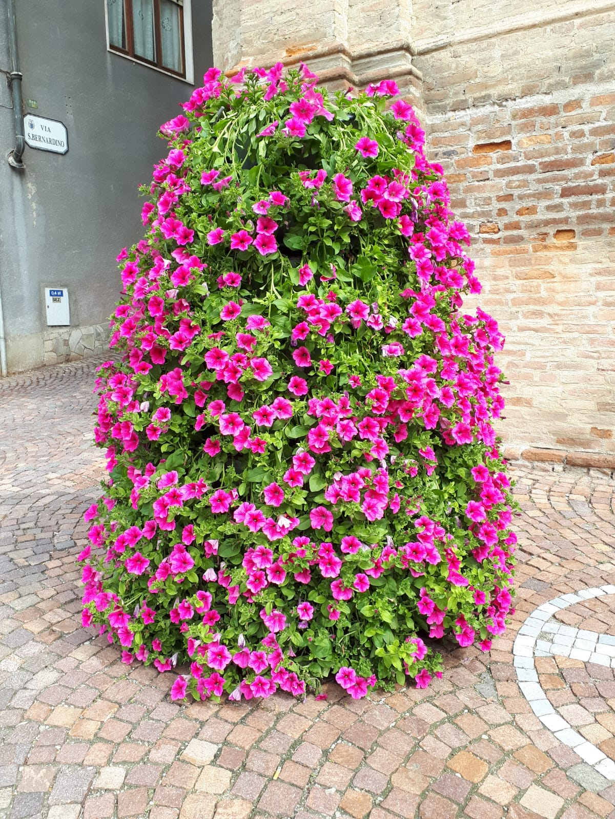 Corneliano e il Giro d'Italia 2023